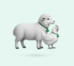 پذیرندگان
