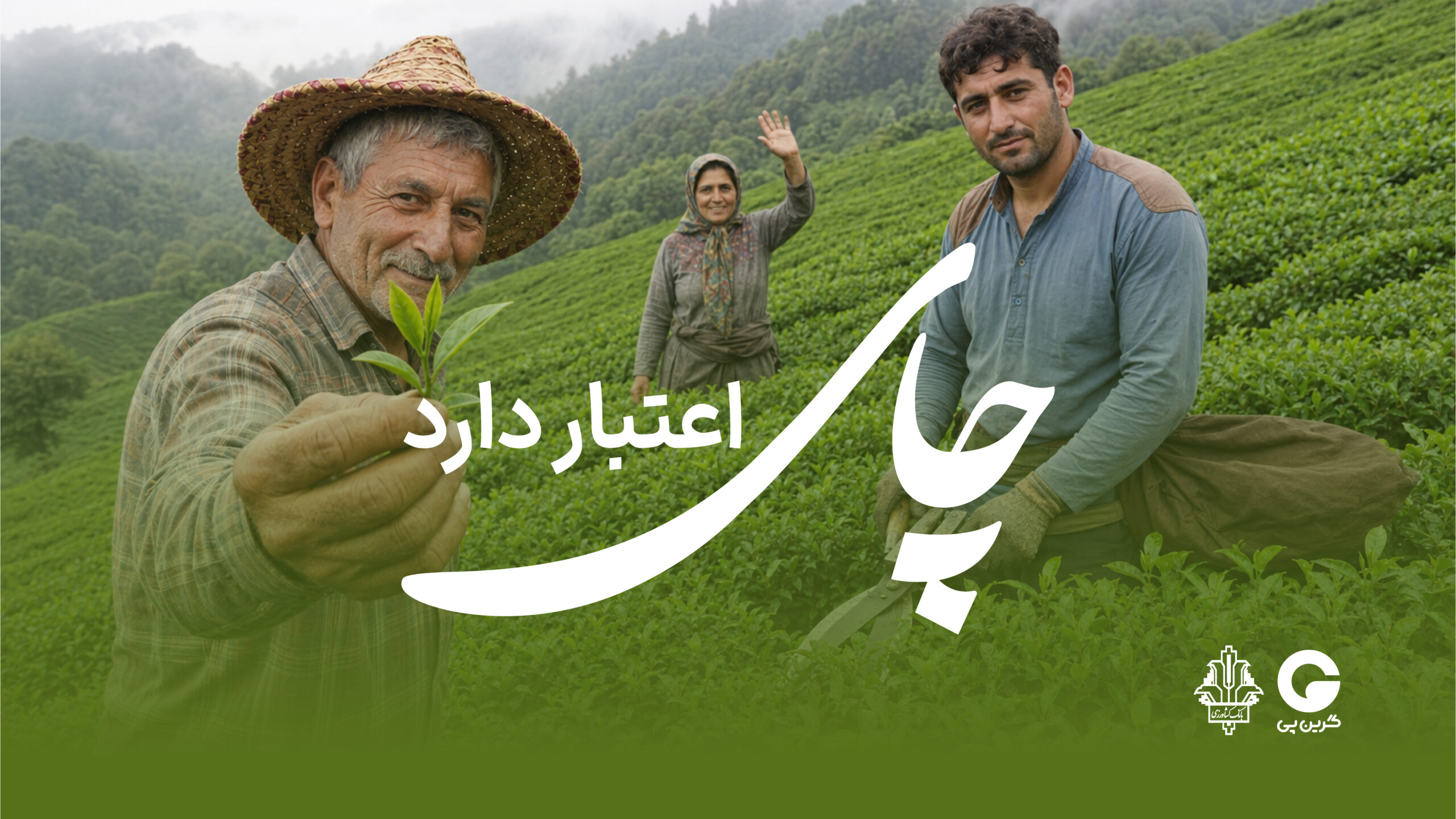 کاور ویدیو